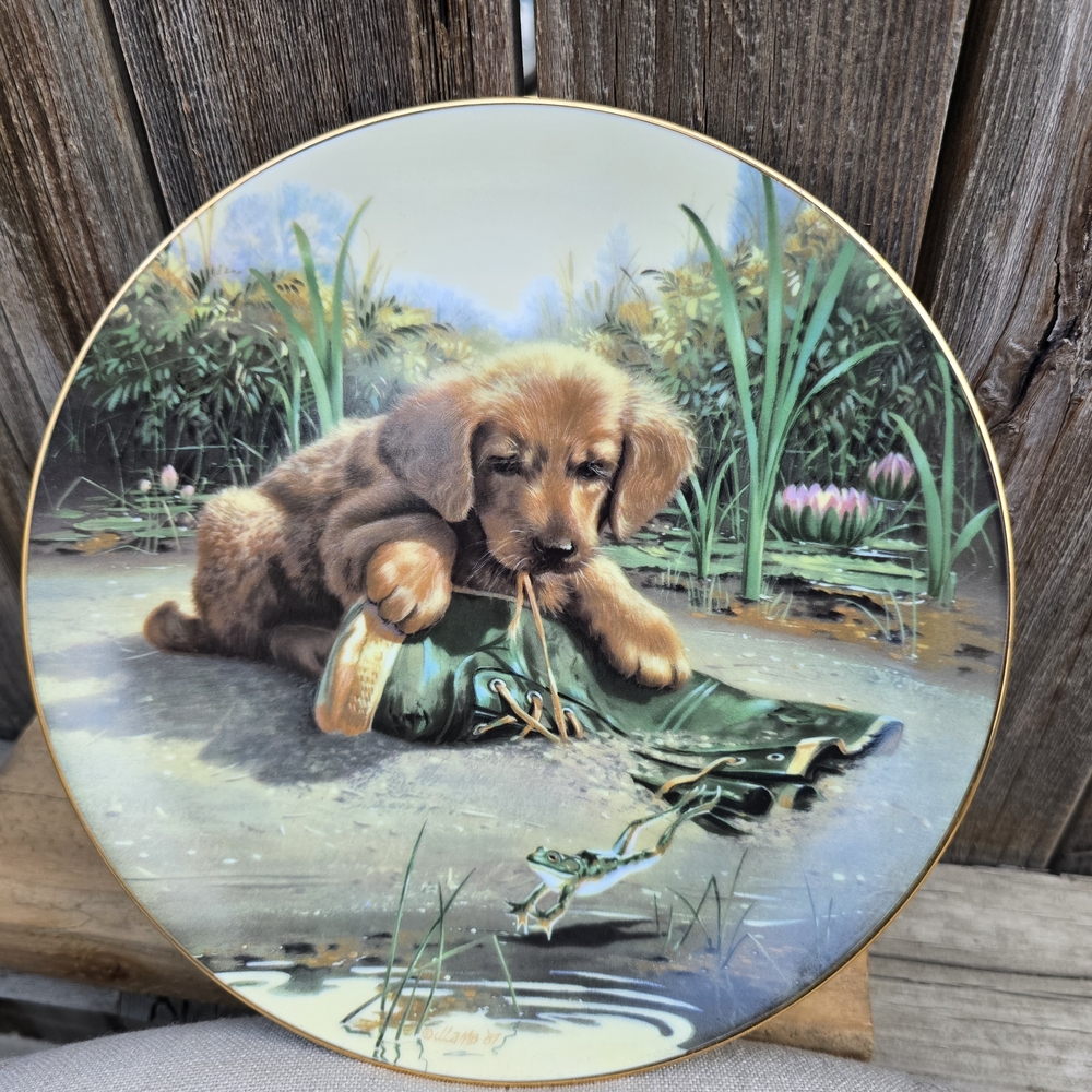 Collector Plate Catch of the Day By Jim Lamb